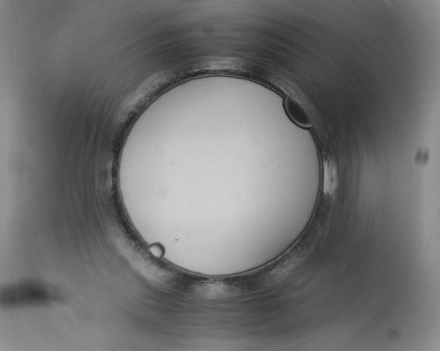 X0000113140253200909251311