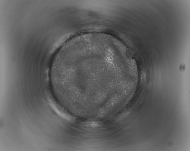 X0000113140254200909251311