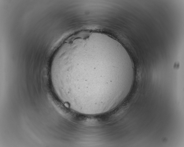 X0000113140256200909251311