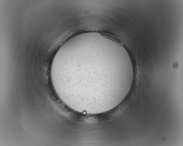 X0000113140258200909251311