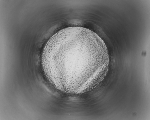 X0000113140259200909251311