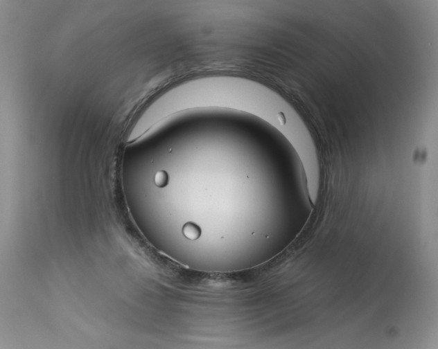 X0000113140260200909251311