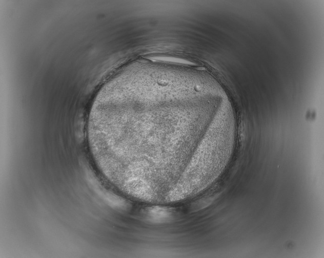 X0000113140261200909251311