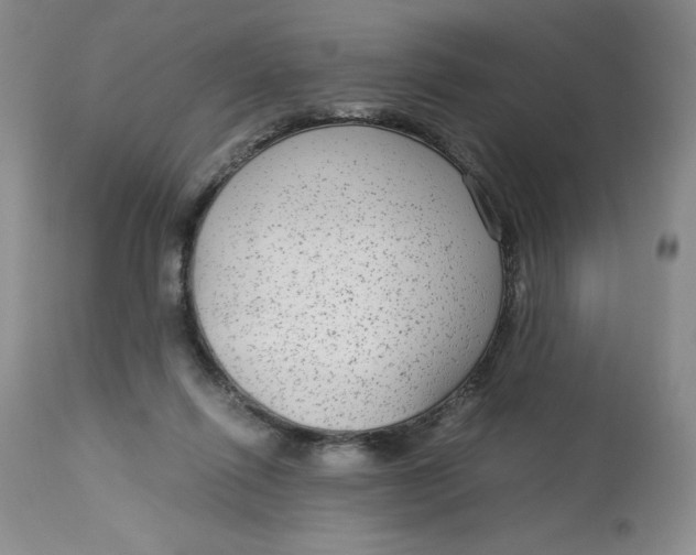 X0000113140262200909251311