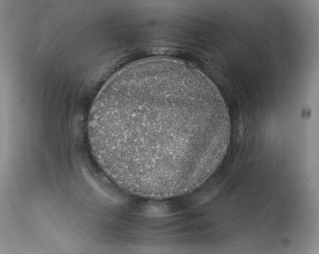 X0000113140263200909251311