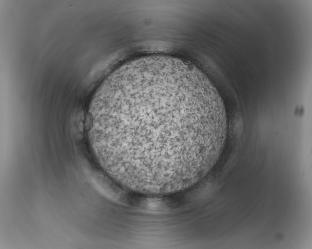 X0000113140264200909251311