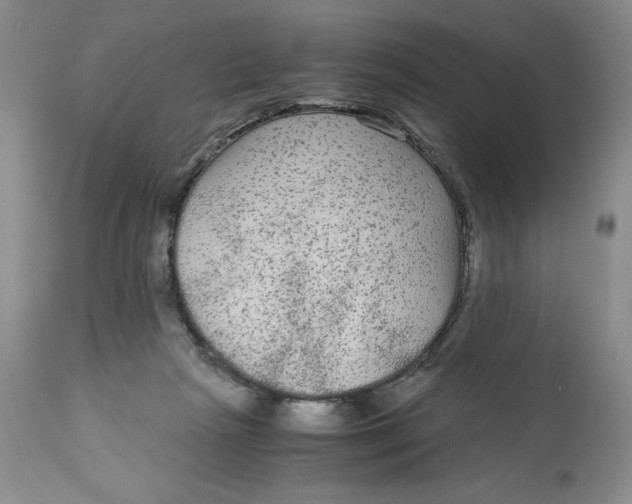 X0000113140265200909251311