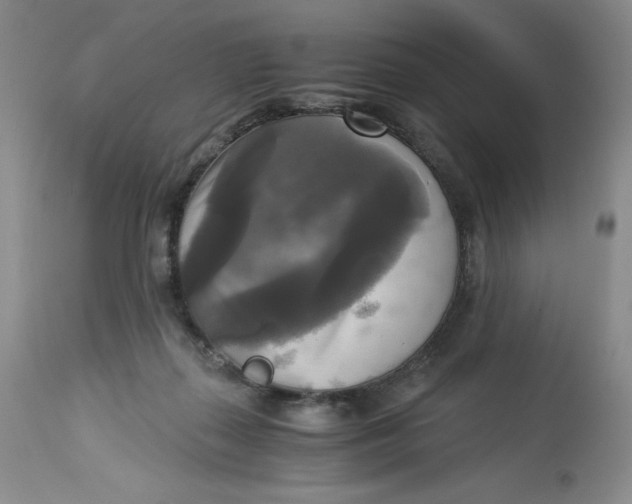 X0000113140267200909251311