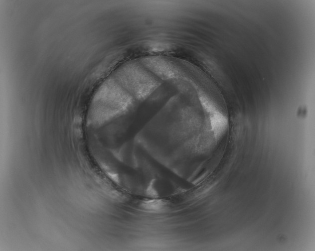 X0000113140269200909251311