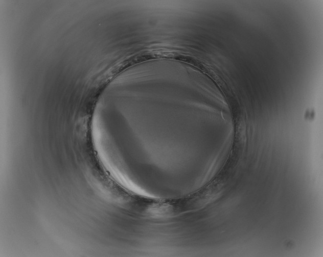 X0000113140271200909251311