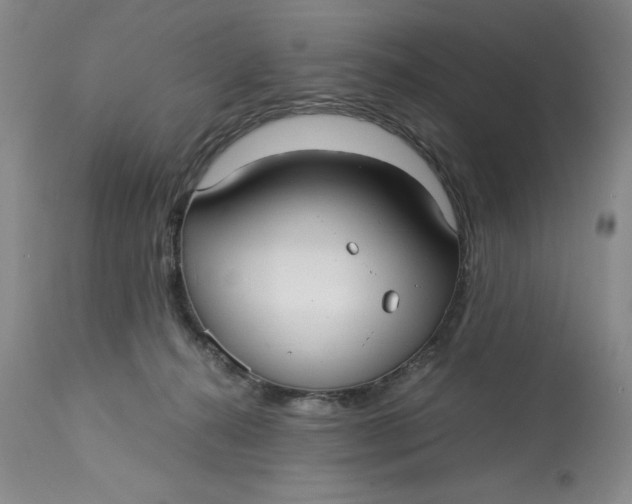 X0000113140272200909251311