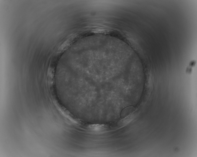 X0000113140273200909251311