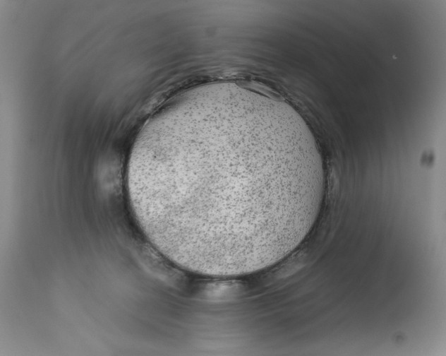 X0000113140274200909251311