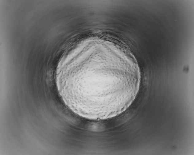 X0000113140275200909251311