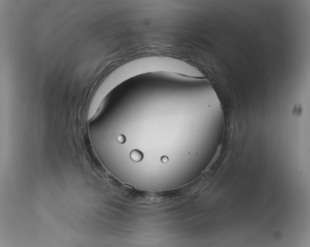 X0000113140276200909251311