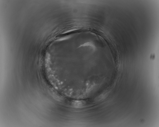 X0000113140277200909251311