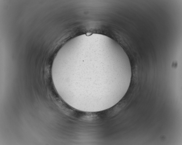 X0000113140278200909251311