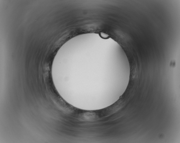 X0000113140279200909251311