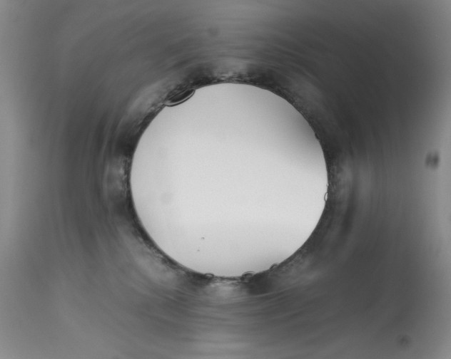 X0000113140280200909251311