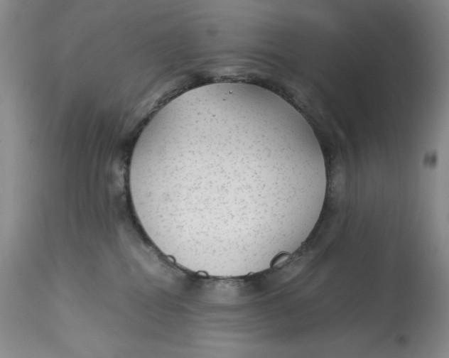 X0000113140282200909251311