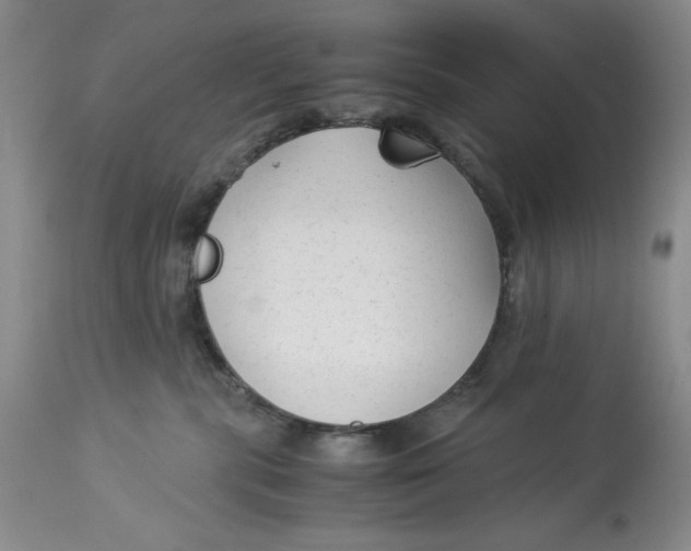 X0000113140283200909251311