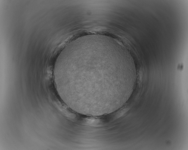 X0000113140284200909251311