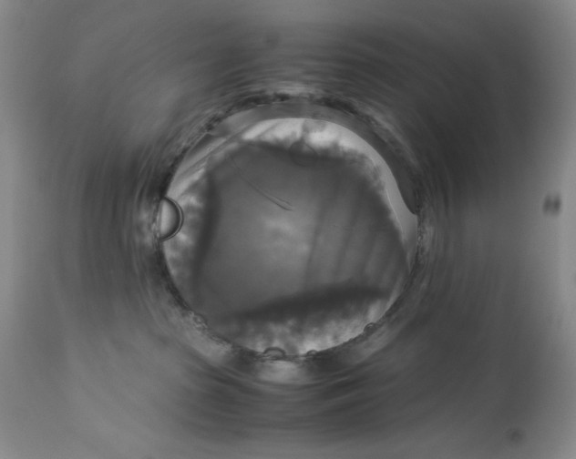 X0000113140285200909251311