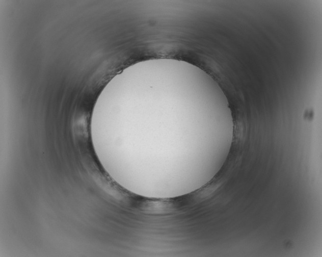 X0000113140286200909251311