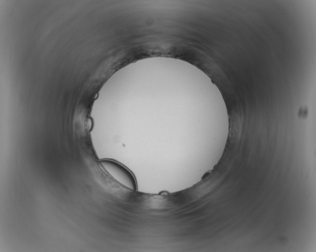 X0000113140287200909251311