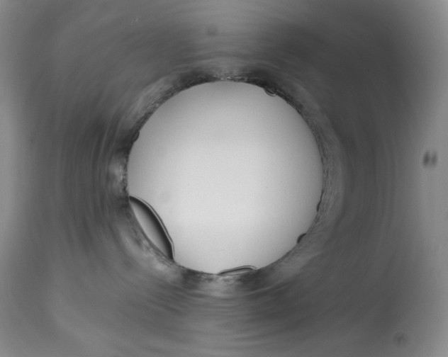 X0000113140288200909251312