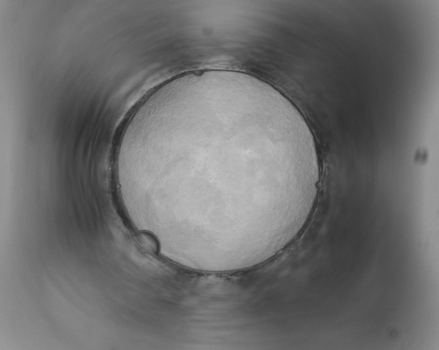 X0000113140290200909251311