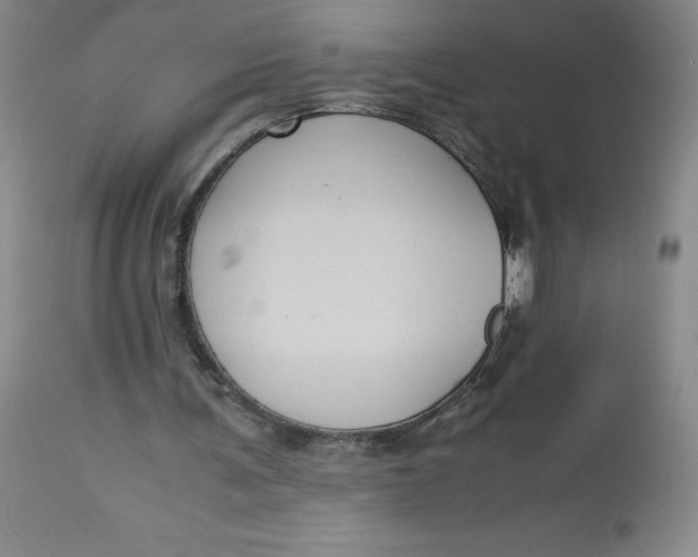 X0000113140291200909251311