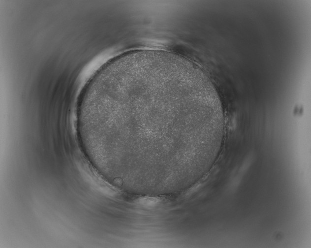 X0000113140294200909251311