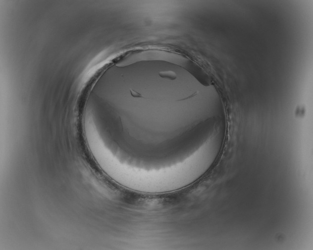 X0000113140295200909251311