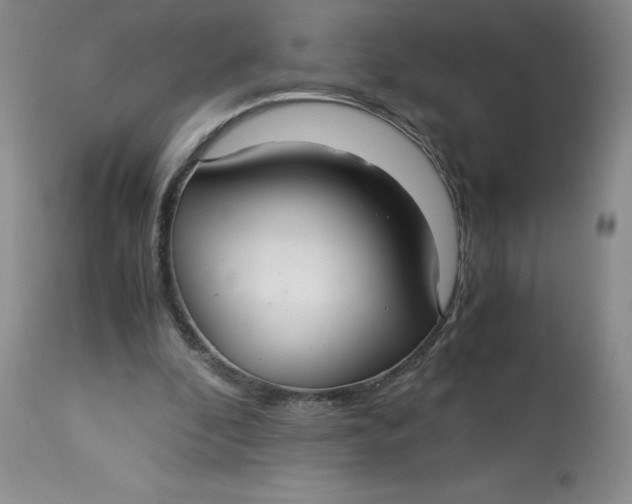 X0000113140296200909251311