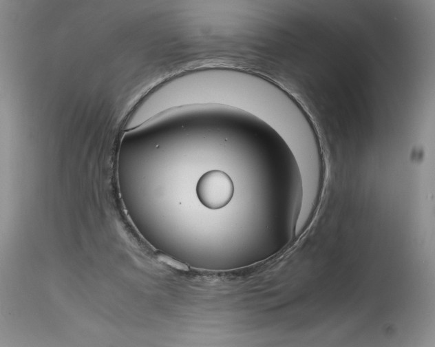 X0000113140297200909251311