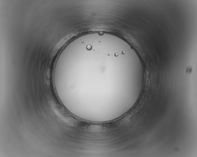 X0000113140298200909251311