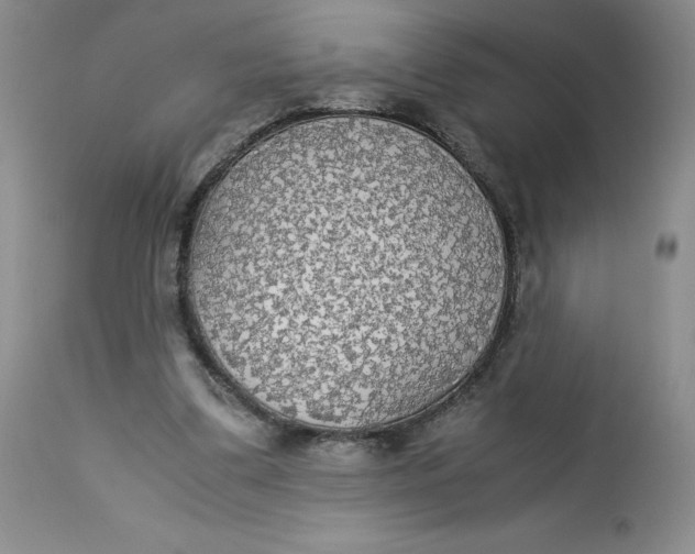 X0000113140299200909251311