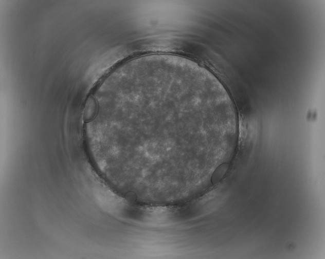 X0000113140301200909251311