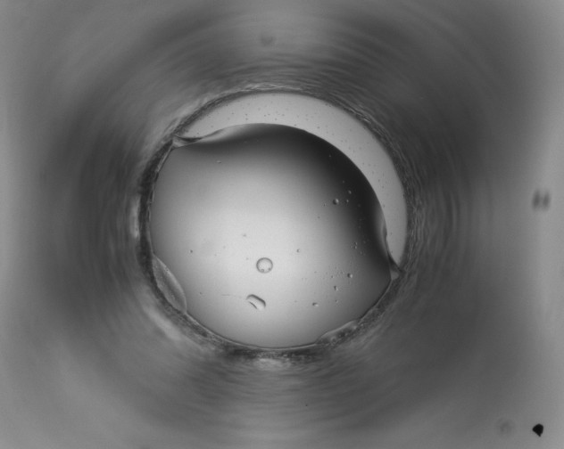 X0000113140302200909251311