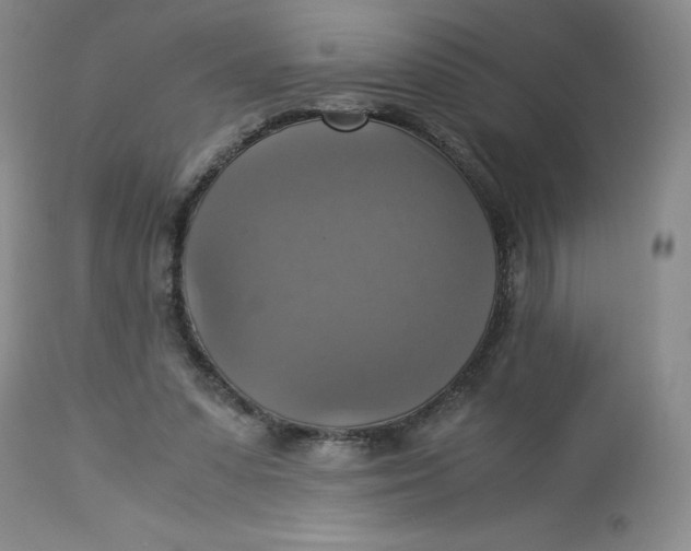 X0000113140303200909251311