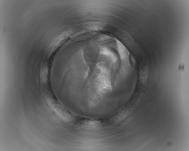 X0000113140304200909251311