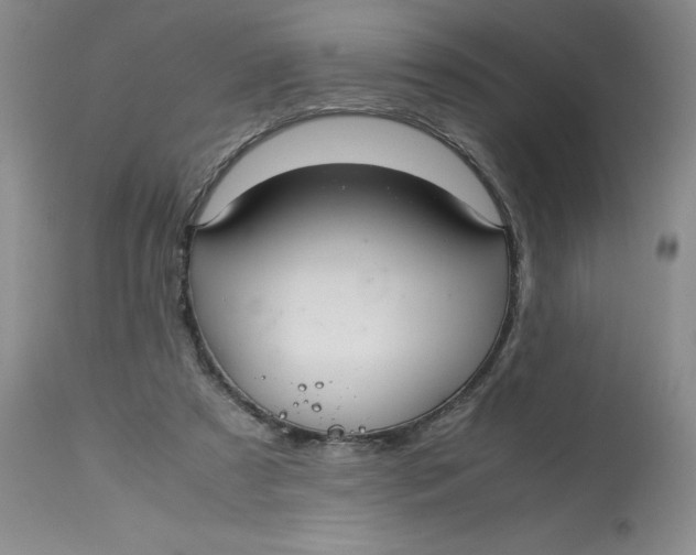 X0000113140305200909251311