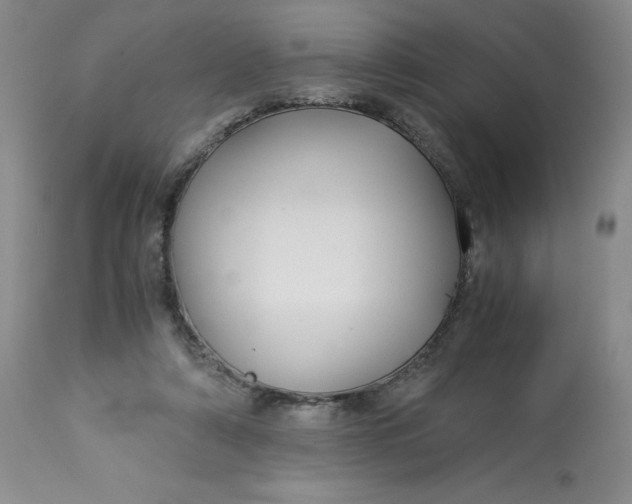 X0000113140306200909251311