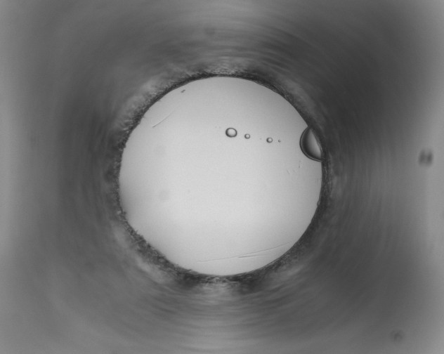 X0000113140307200909251310