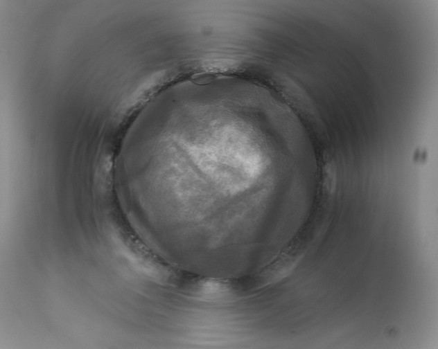 X0000113140308200909251310