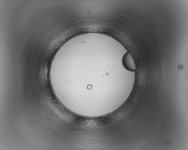 X0000113140310200909251310