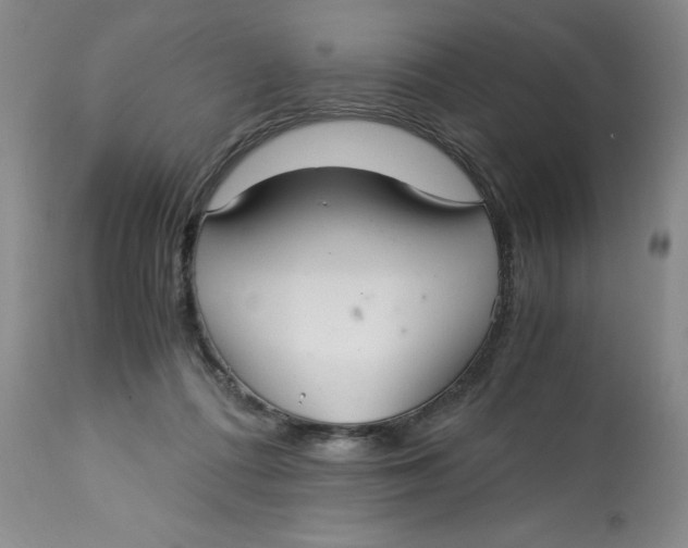 X0000113140312200909251310