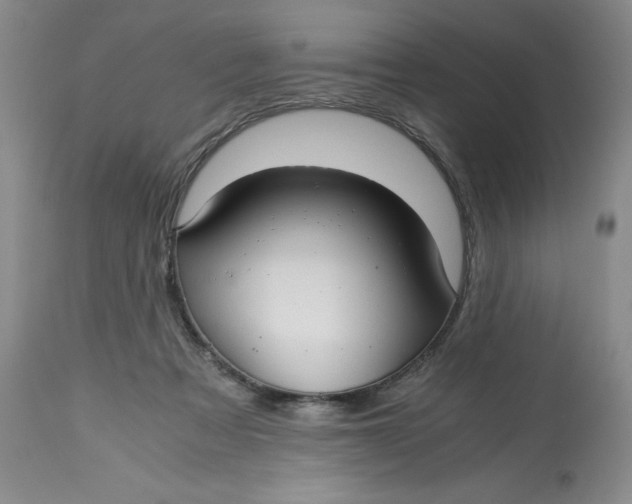 X0000113140313200909251310