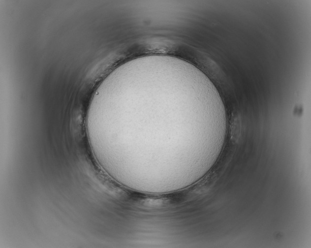 X0000113140314200909251310